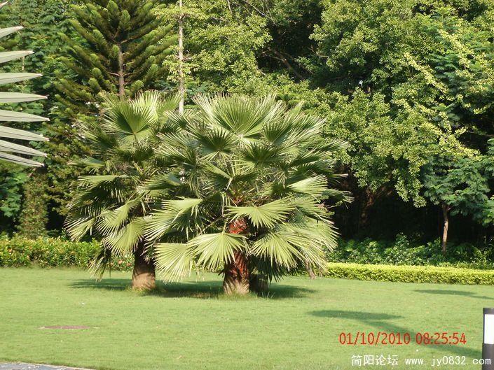 GEDC0277s.jpg