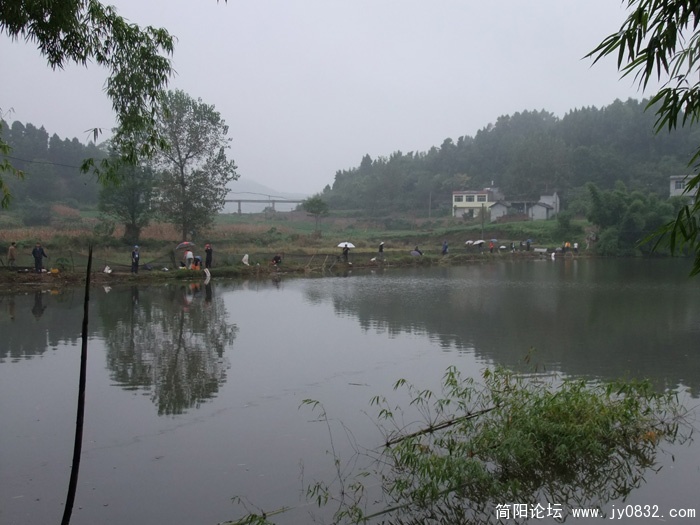 DSCF6244.jpg