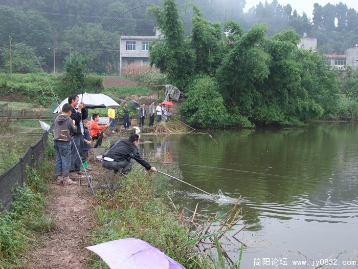 DSCF6275.jpg