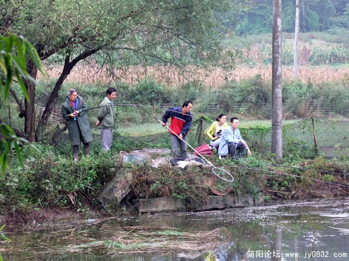 DSCF6296.jpg