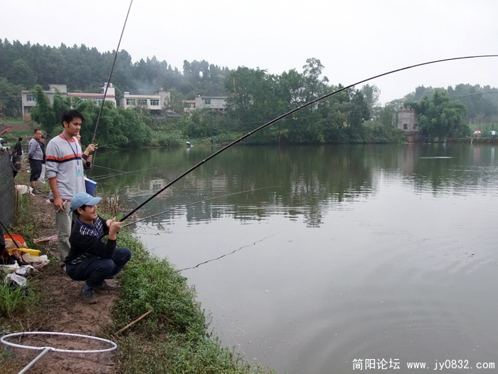 DSCF6303.jpg