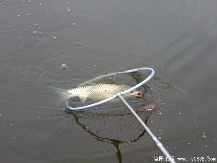 DSCF6311.jpg