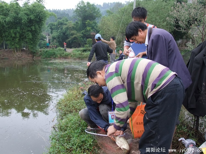DSCF6312.jpg