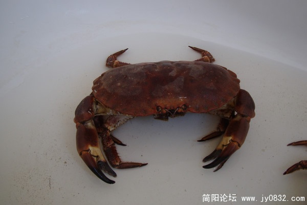 p_large_8seS_782e0006ef765c44.jpg
