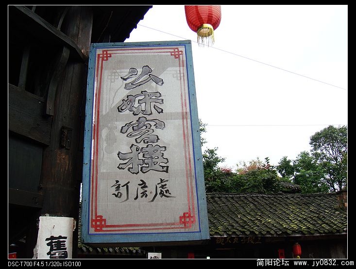 DSC03704.jpg
