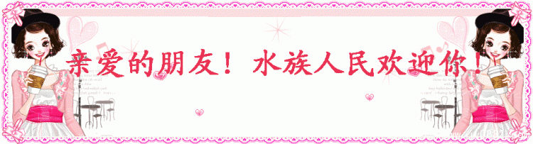 .gif
