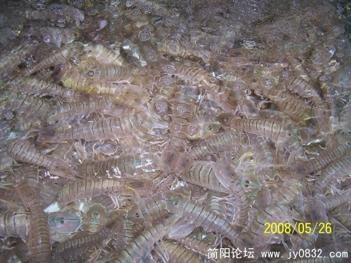 100_1909_conew1.jpg