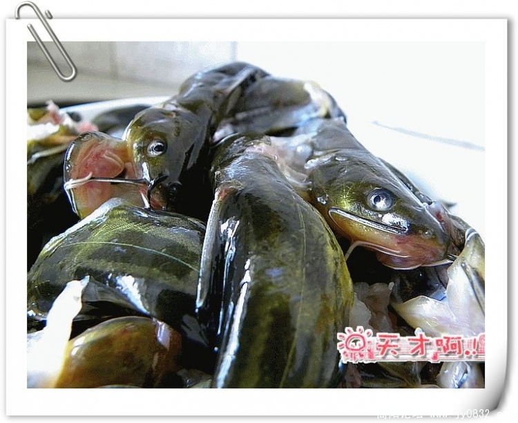 DSCN1101_副本.jpg