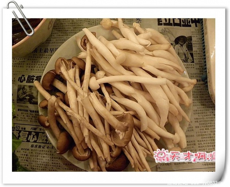 DSCN1036_副本.jpg
