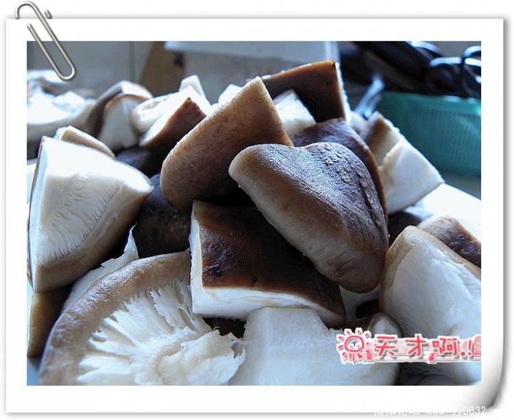 DSCN1097_副本.jpg