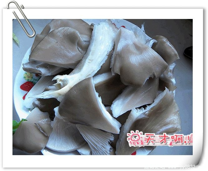 DSCN1087_副本.jpg
