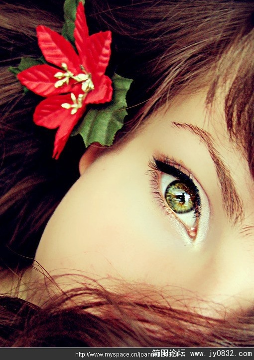 l_6ad1ce45cb272a7ee4b3acb9eb65440c.jpg