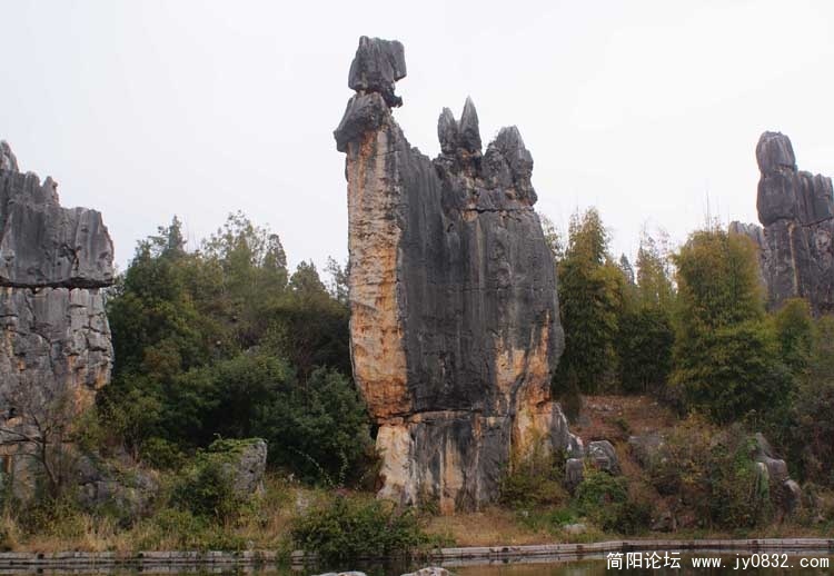云南石林5.jpg
