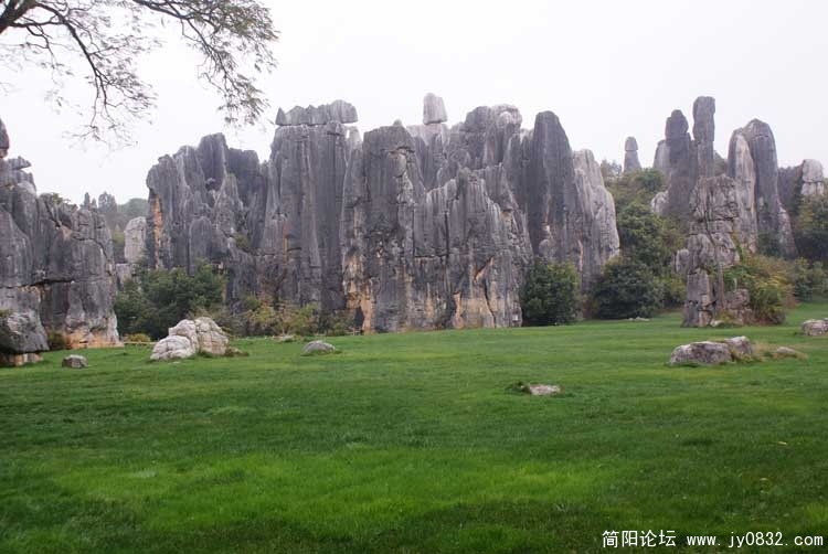云南石林7.jpg