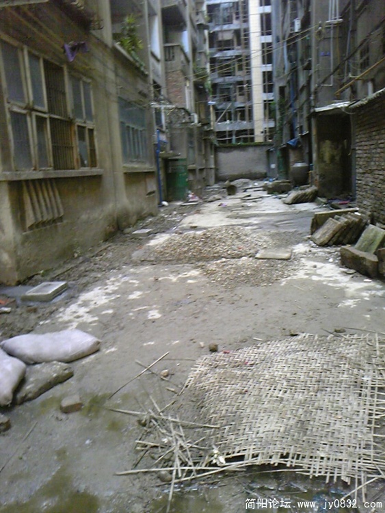 Image228.jpg