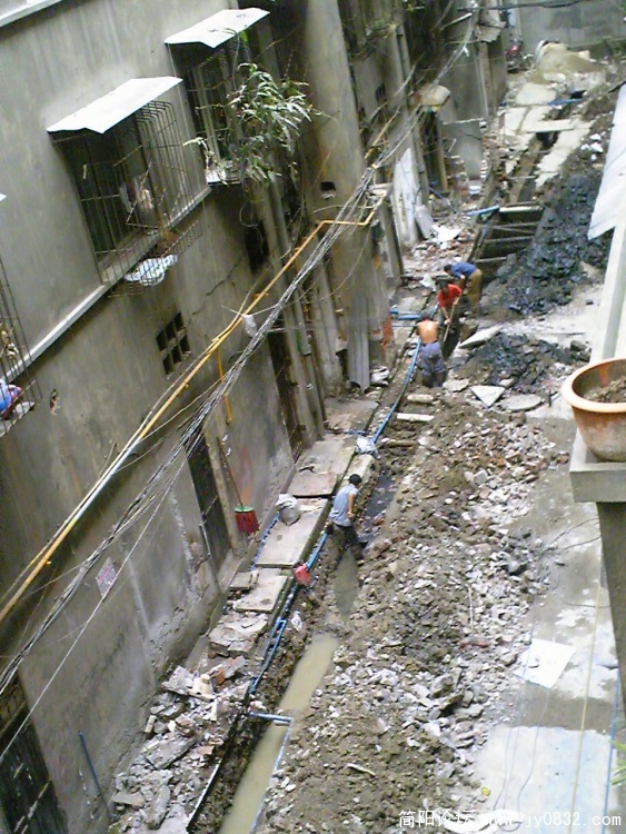 Image254.jpg