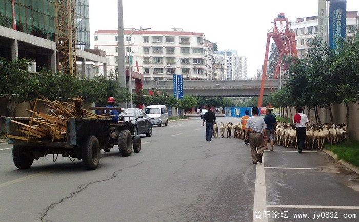 201009226133.jpg