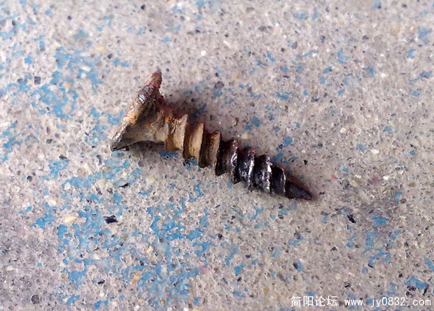 201009236144.jpg
