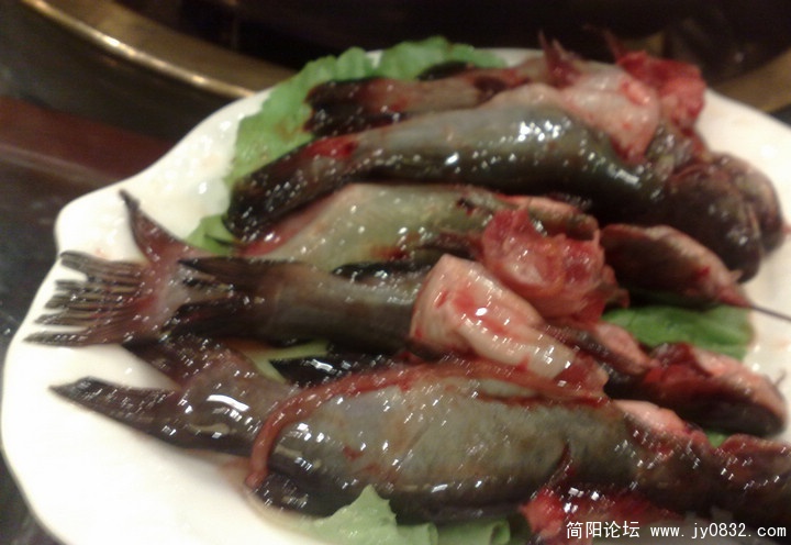 201009236192.jpg