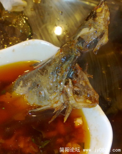 201009236212.jpg