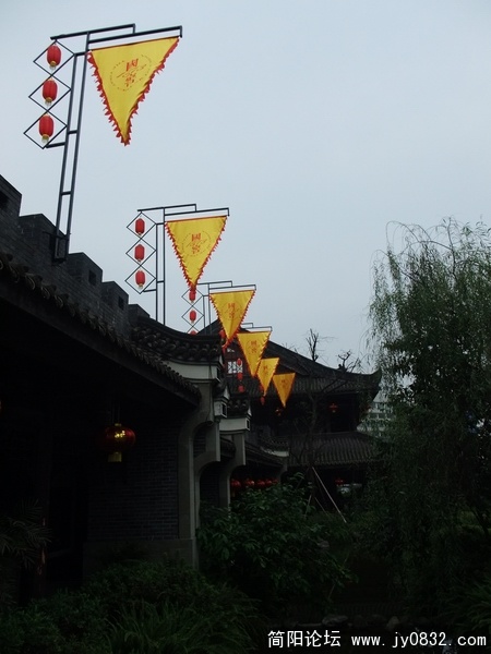 DSCF2449.JPG