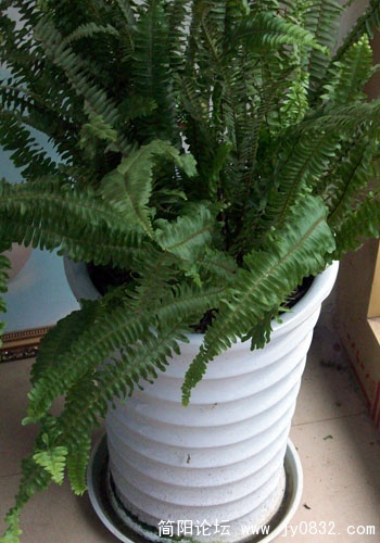 100_0690.JPG