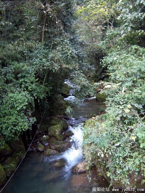 SUC50623_调整大小.JPG
