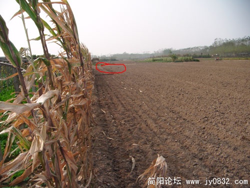 DSCF1256.JPG