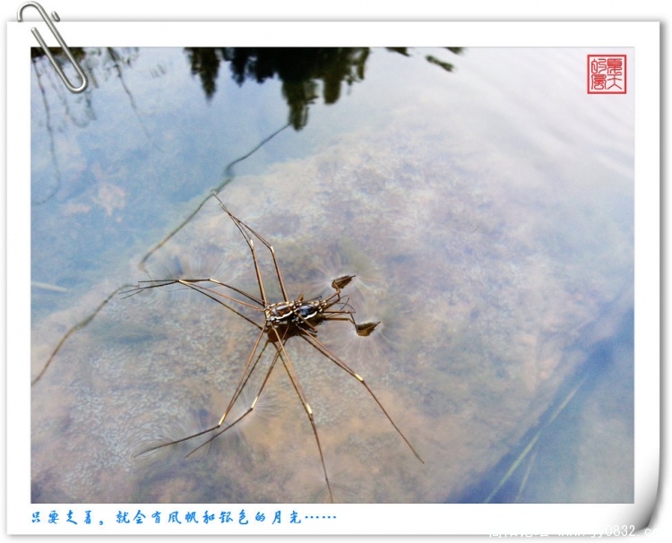 照片0154.jpg