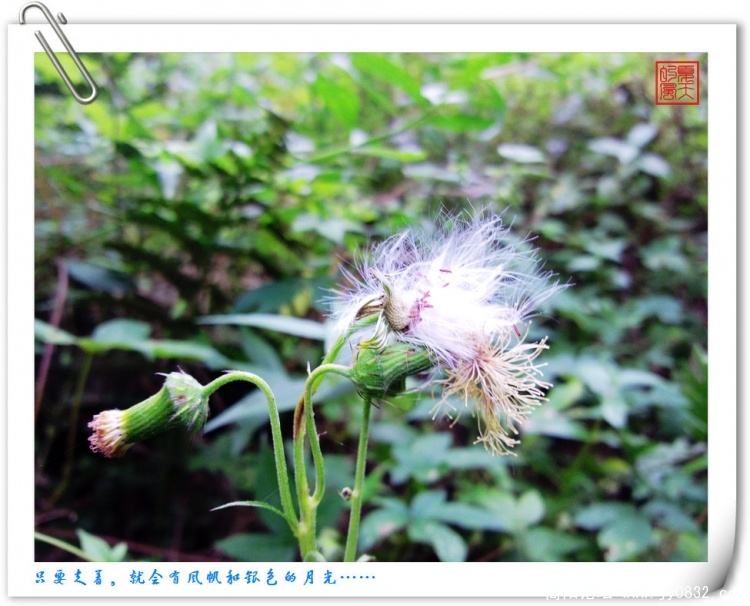 照片0159.jpg