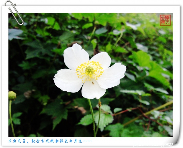 照片0153.jpg