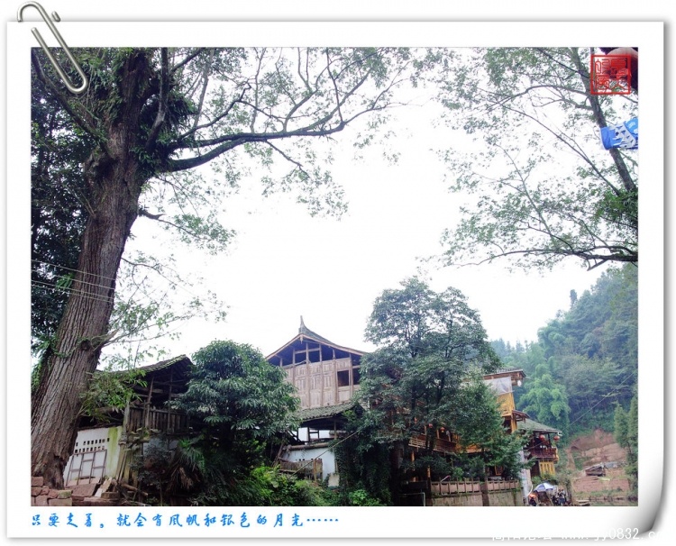 照片0162.jpg