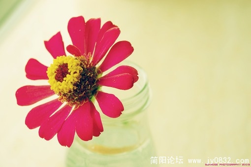 457a2f51269579c711e3e7db9c52f90a.jpg