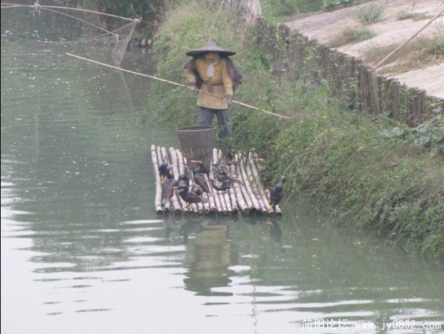 48.jpg