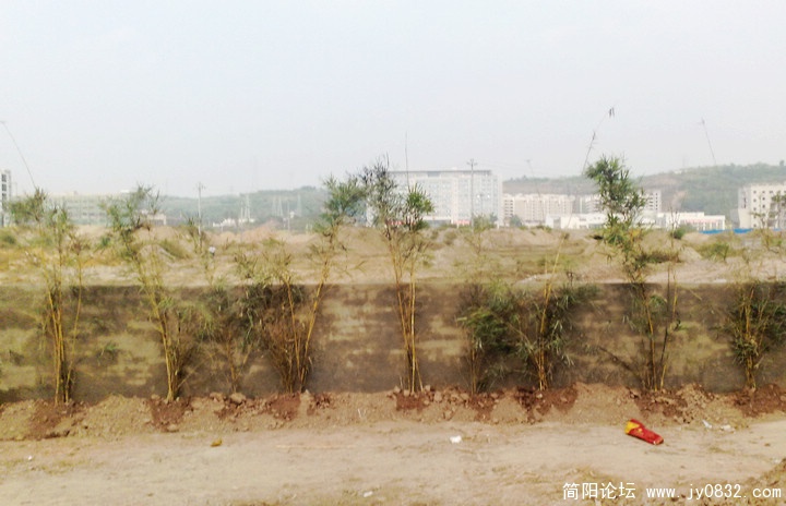 201010166691.jpg