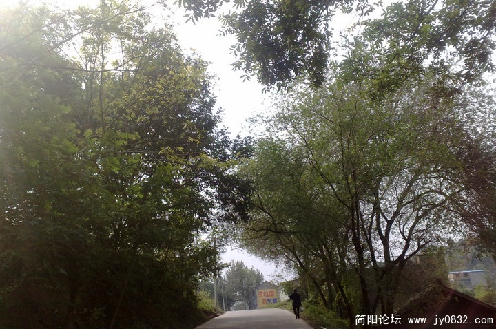 201010166697.jpg