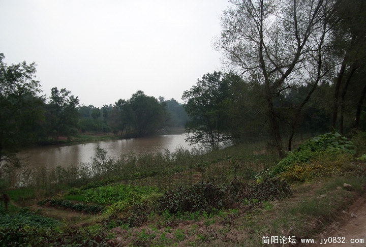 DSCF0284.jpg