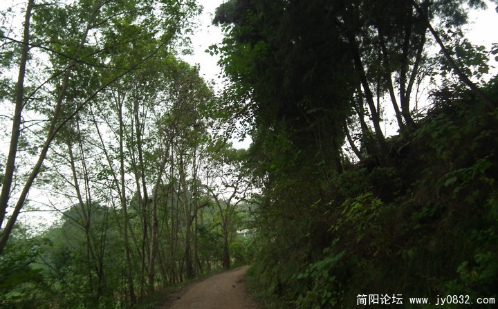 DSCF0293.jpg
