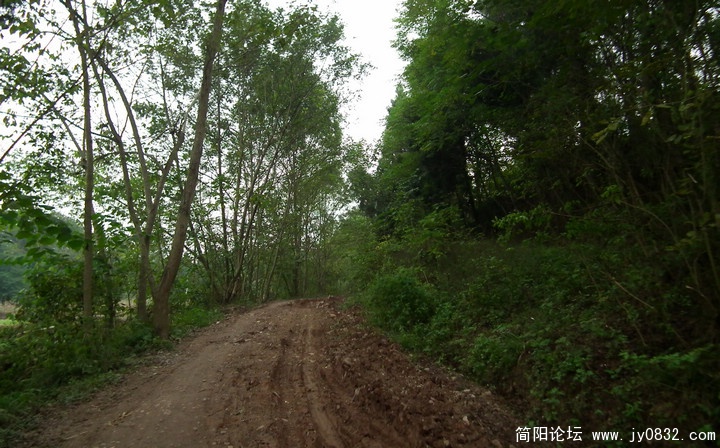 DSCF0294.jpg
