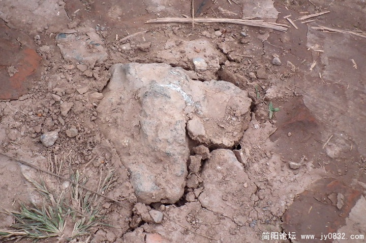 DSCF0298.jpg