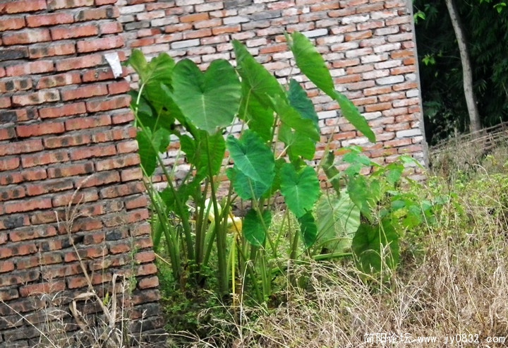 DSCF0304.jpg