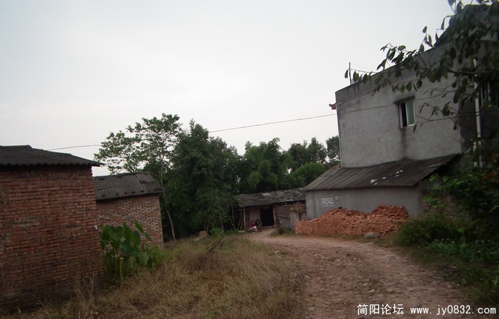 DSCF0306.jpg