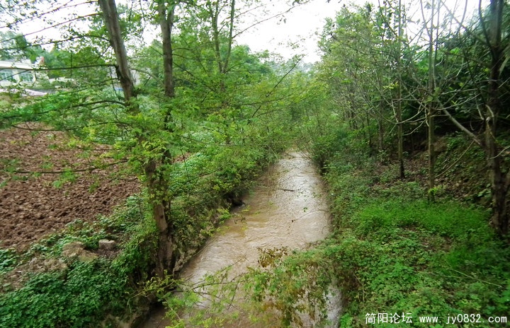 DSCF0310.jpg