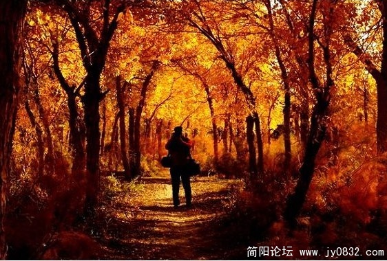 对拍.jpg