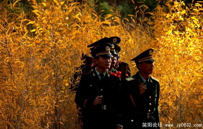 胡杨中的卫士.jpg