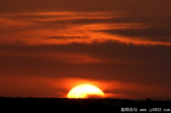 夕阳醉.jpg
