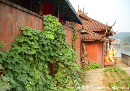 实拍样张 (5).JPG