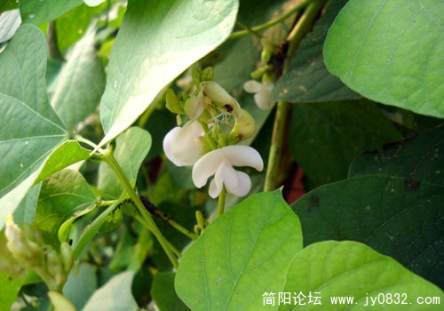 实拍样张 (3).JPG