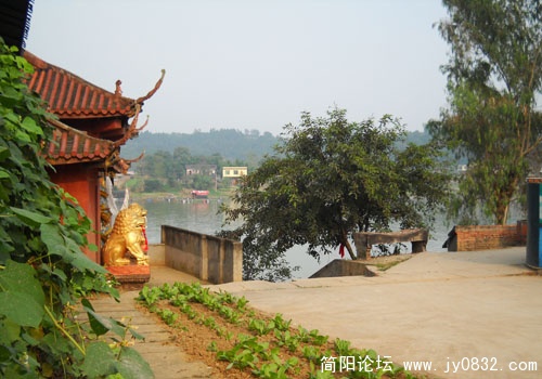 实拍样张 (6).JPG