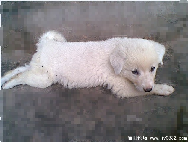 Z6L@_7CUUY]KOVX%YXFE443_副本.jpg